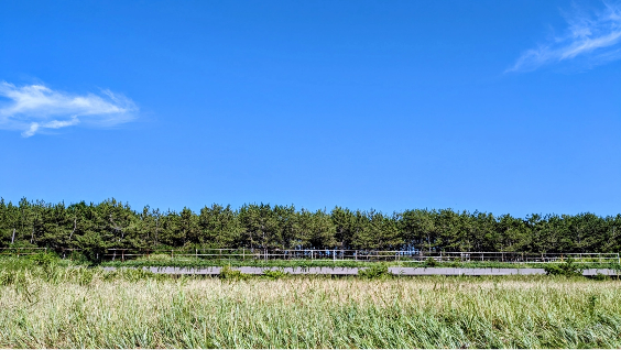 自然イメージ画像